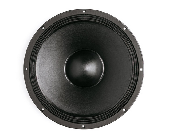 Динамик B&C Speakers 15PL100 - 121901 за 0 грн. | 4Club