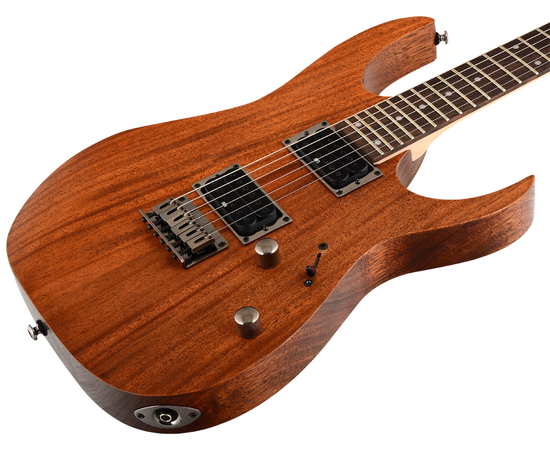 Электрогитара IBANEZ RG421-MOL