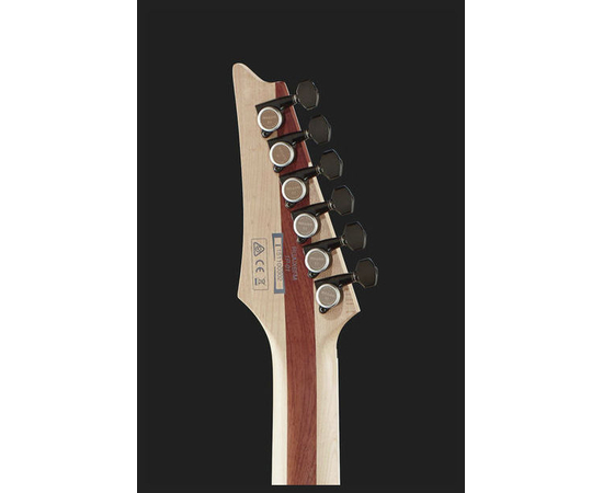 Электрогитара IBANEZ RGAIX6FM TGF