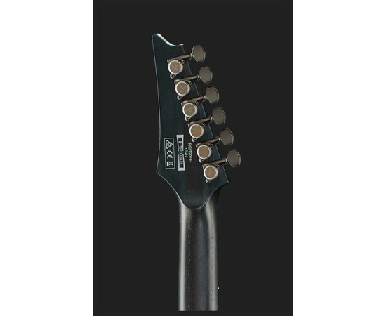Электрогитара IBANEZ RGIT20FE TGF
