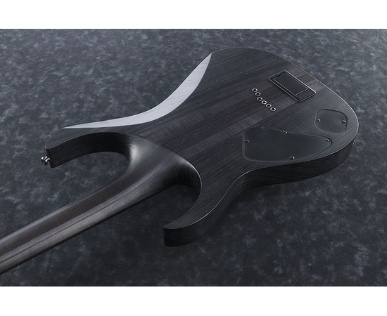 Электрогитара IBANEZ RGIT20FE TGF