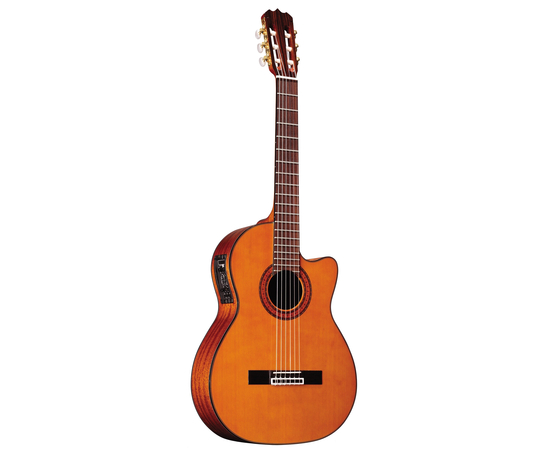 Классическая гитара Alvarez AC60SC - 2733 за 0 грн. | 4Club