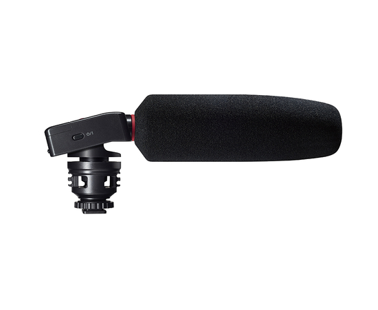 Рекордер TASCAM DR-10 SG