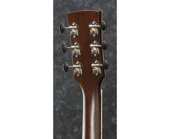 ​Акустическая гитара IBANEZ AVD10 BVS