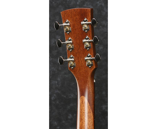 ​Акустическая гитара IBANEZ AVD9 NT