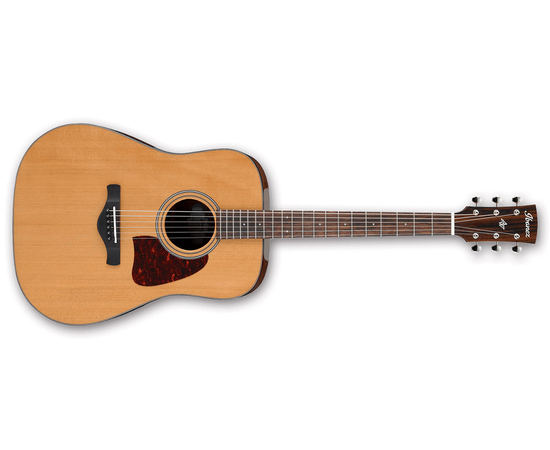 ​Акустическая гитара IBANEZ AVD9 NT - 123316 за 0 грн. | 4Club