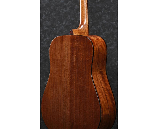 ​Акустическая гитара IBANEZ AVD9 NT