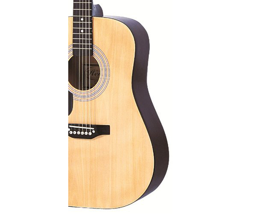 Акустическая гитара FALCON LFG100N