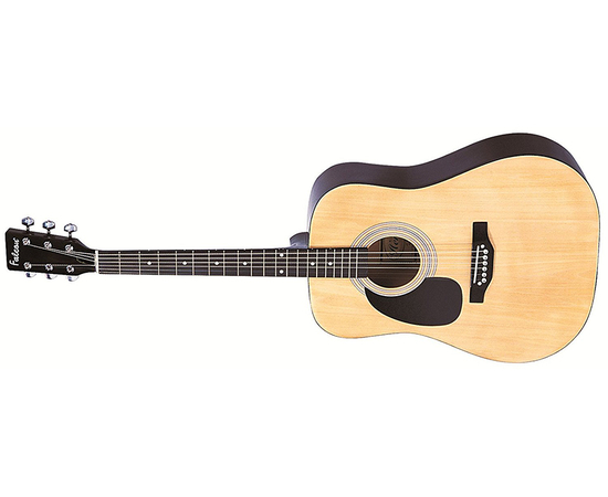 Акустическая гитара FALCON LFG100N