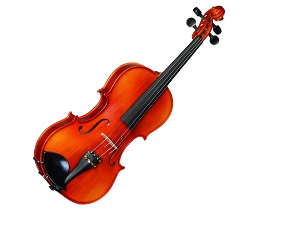 Альт Strunal 3/9w 39 - 124639 за 0 грн. | 4Club