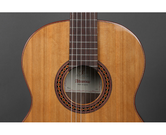 Классическая гитара ALHAMBRA Iberia Ziricote