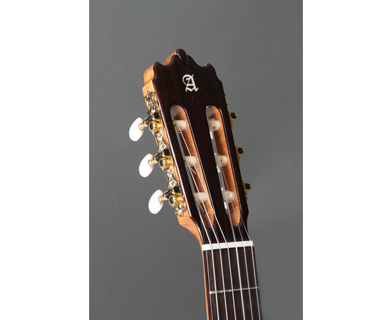 Классическая гитара ALHAMBRA Iberia Ziricote