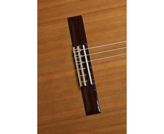 Классическая гитара ALHAMBRA Iberia Ziricote