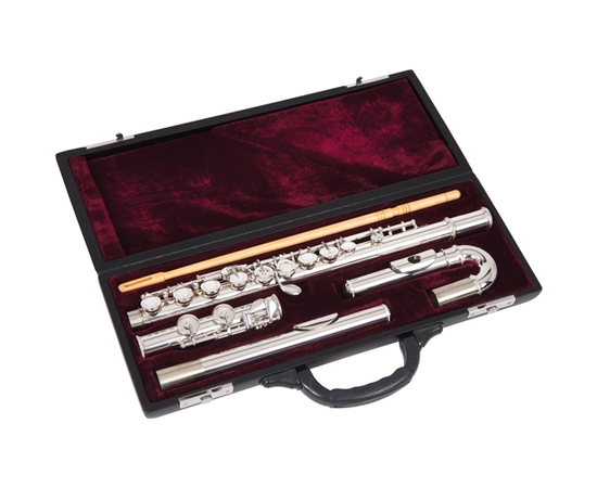 Флейта ODYSSEY OFL100C