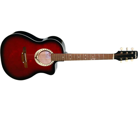 Акустическая гитара TREMBITA EAGLE Е-1