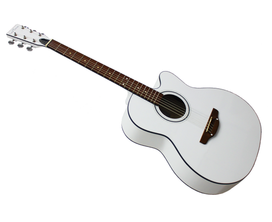 Акустическая гитара TREMBITA LEOTONE L-01/N (с рисунком)