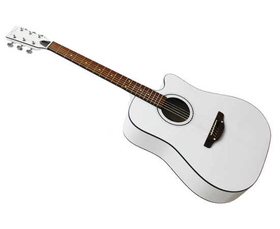 Акустическая гитара TREMBITA LEOTONE L-03/N (с рисунком)