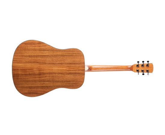 Акустическая гитара Virginia VD210S