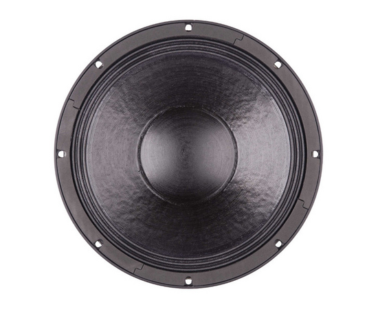 Динамик B&C Speakers 12PLB100