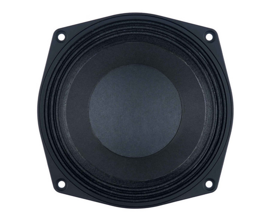 Динамик B&C Speakers 6MBX44
