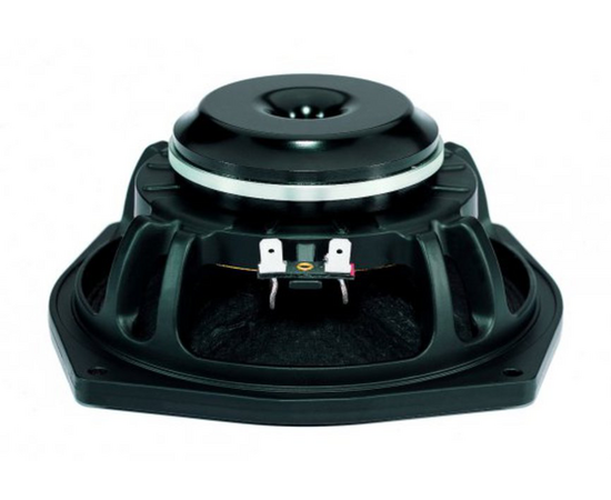 Динамик B&C Speakers 6MDN44