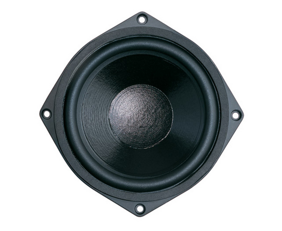 Неодимовый НЧ динамик B&C Speakers 6NDL38 - 65356 за 9848 грн. | 4Club