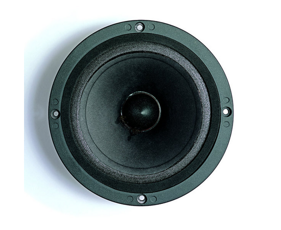 Динамик B&C Speakers 6PEV13