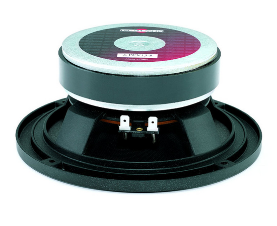 Динамик B&C Speakers 6PEV13