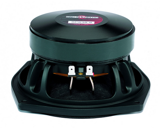 Динамик B&C Speakers 6PS38