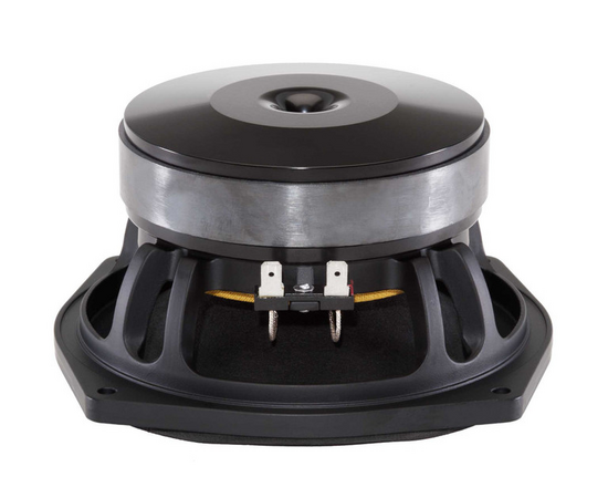 Динамик B&C Speakers 6PS44