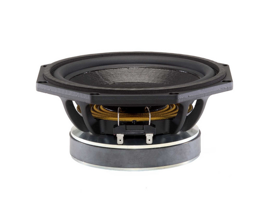 Динамик B&C Speakers 8FG64 - 125539 за 0 грн. | 4Club