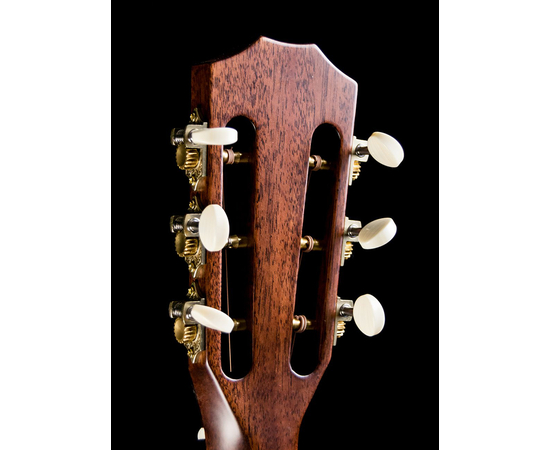 Электроакустическая гитара TAYLOR 322e12fret