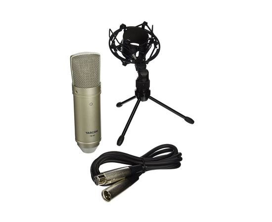 Микрофон TASCAM TM-80