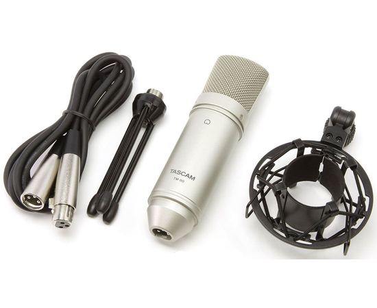 Микрофон TASCAM TM-80