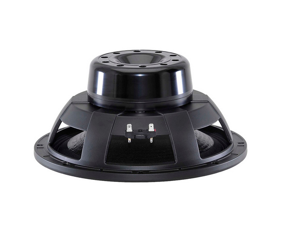 Динамик B&C Speakers 12NBX100