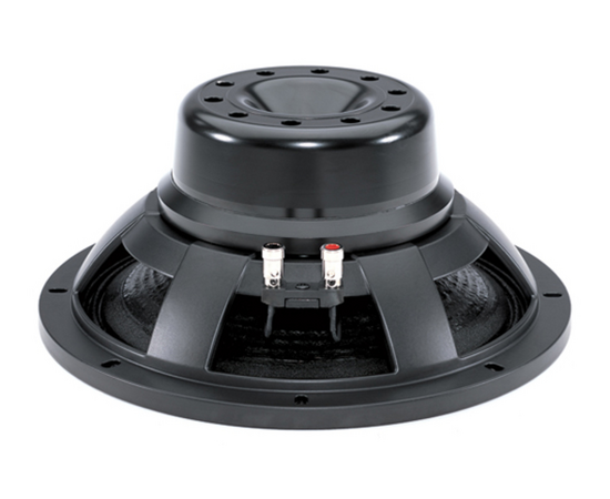 Динамик B&C Speakers 12NW100