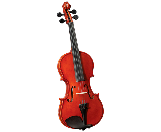 Скрипичный комплект SAGA Cervini (1/8) HV-100 - 125641 за 4505 грн. | 4Club