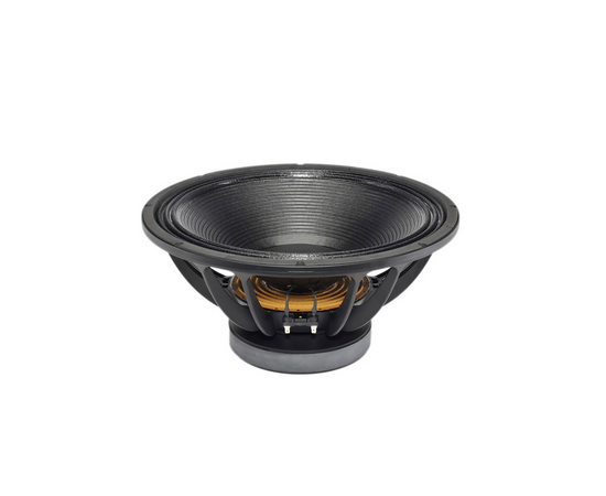 Динамик B&C Speakers 18TBW100