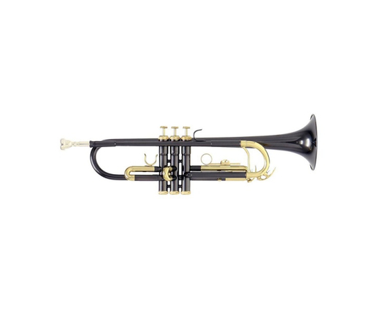 Труба GEWA Bb Roy Benson TR-101K VE 5 RB701052 - 95156 за 0 грн. | 4Club