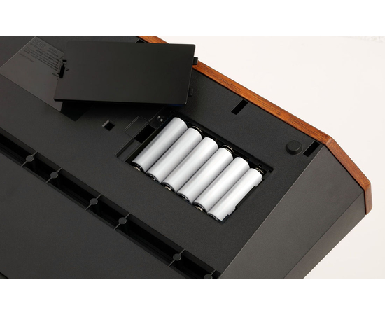 Аналоговый монофонический синтезатор KORG MONOLOGUE-RD