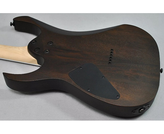 Электрогитара IBANEZ GRG121DX WNF