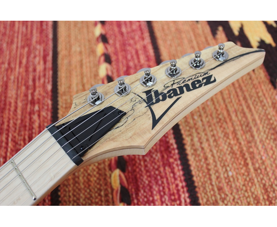 Электрогитара IBANEZ RG721MSM NTF