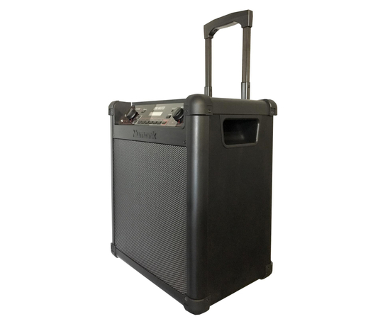 Караоке-система NUMARK Sing Master Karaoke Sound System