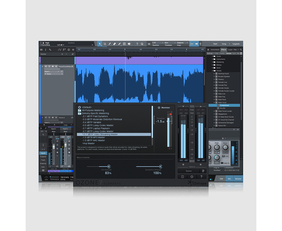 Микрофон Blue Microphones Raspberry Studio