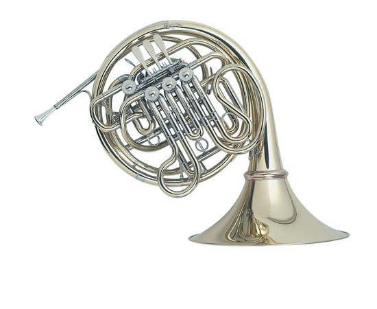 Валторна Conn-Selmer H479 - 128996 за 0 грн. | 4Club