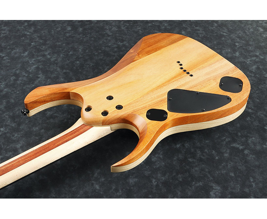 Электрогитара IBANEZ RGDIX6PB SKB