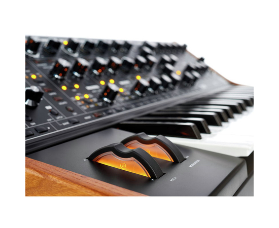 Аналоговый синтезатор MOOG SUBSEQUENT 37