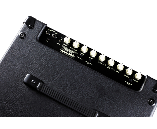 Басовый комбо ASHDOWN AAA-300-210T