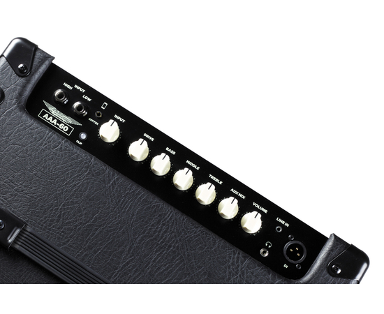 Басовый комбо ASHDOWN AAA-60-10T