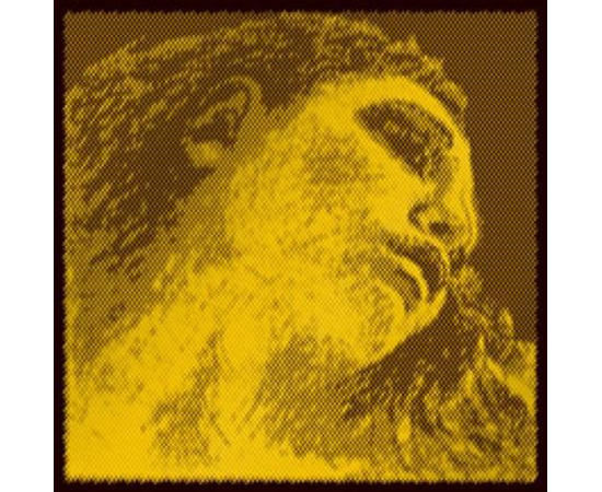 ​Комплект струн для скрипки PIRASTRO 415091 - 129050 за 5010 грн. | 4Club